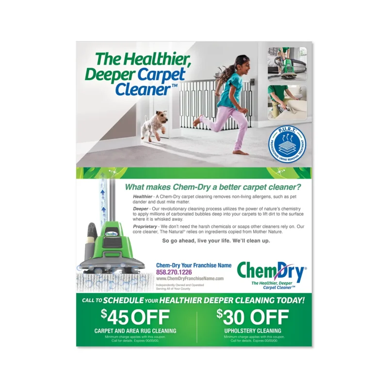 ChemDry - Flyers