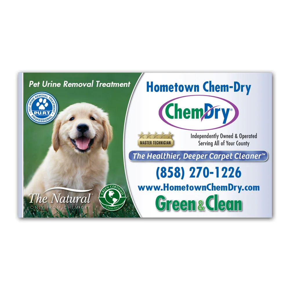 Front view of a custom printed Chem-Dry business card with cute dog on front left