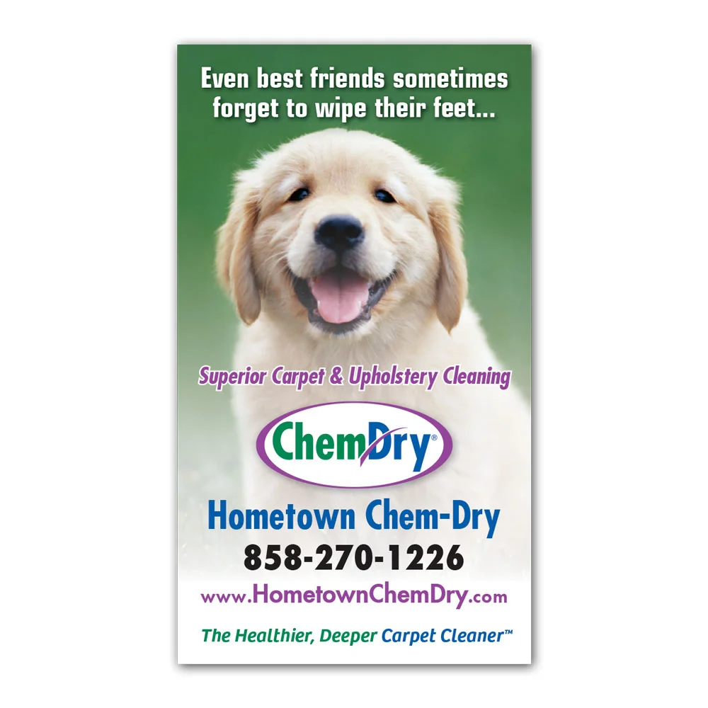 Front view of a custom printed Chem-Dry business card with a dog on the front