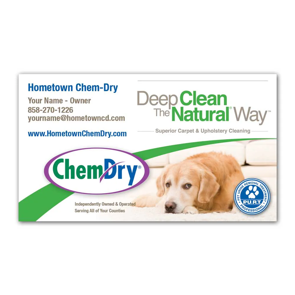 Front view of a custom printed Chem-Dry business card with golden retriever laying on clean carpet in front of couch