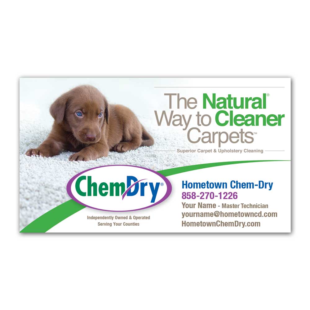 front view of a custom printed ChemDry business card magnet with brown dog laying on clean carpet