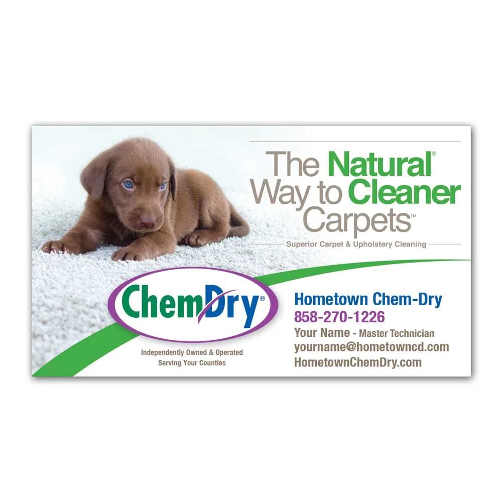 Front view of a custom printed Chem-Dry business card with dark brown puppy laying on clean carpet