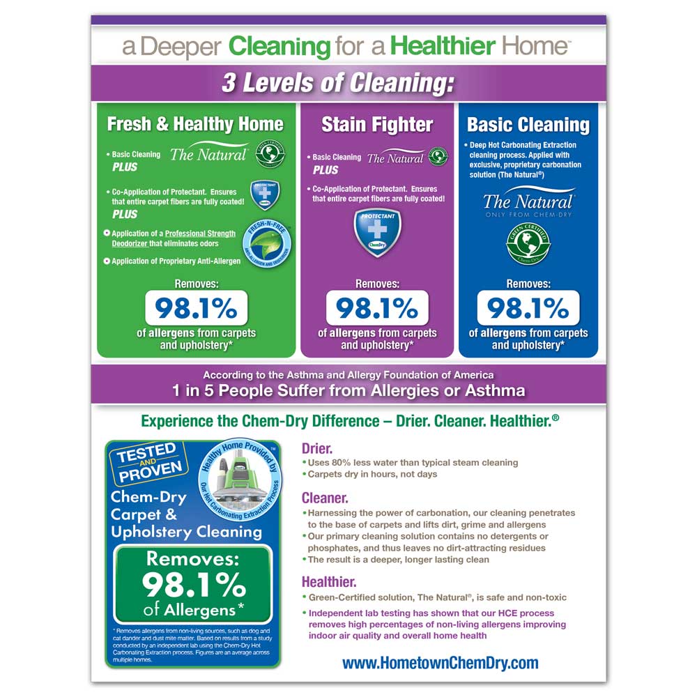 Back view of a custom printed ChemDry Flyer with three cleaning packages