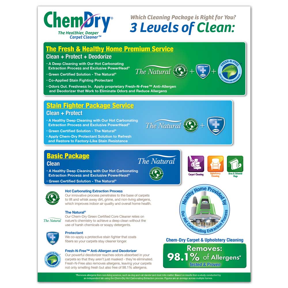 Back view of a custom printed ChemDry residential Flyer with three levels of cleaning package service