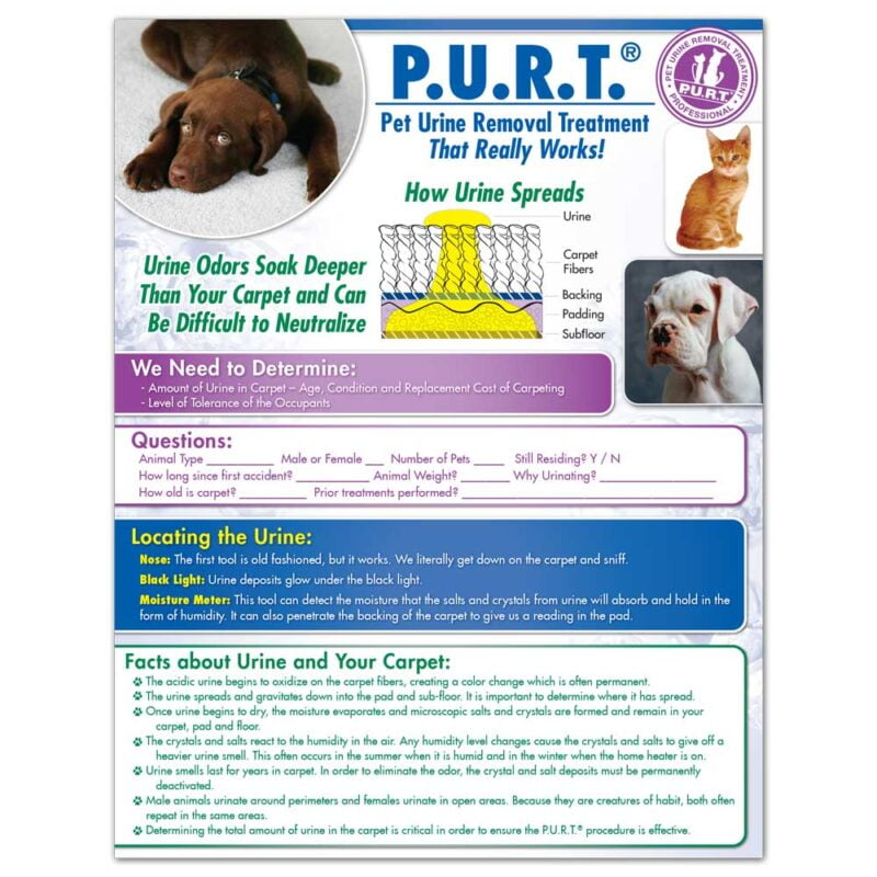 ChemDry - Pre-Printed Flyers