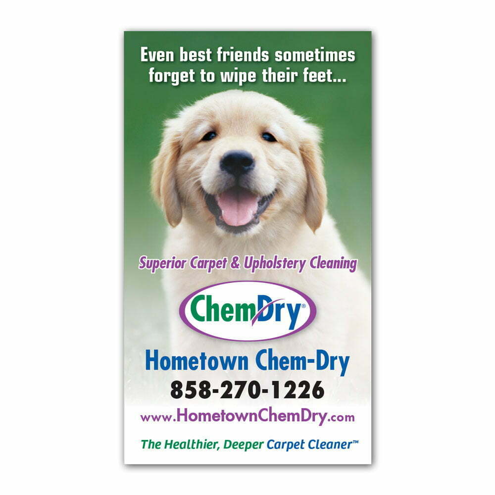 front view of a custom printed ChemDry business card magnet with dog