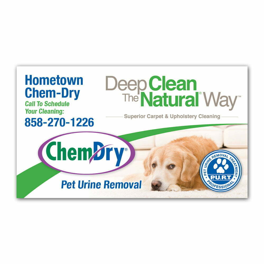 front view of a custom printed ChemDry business card magnet with dog laying on clean carpet