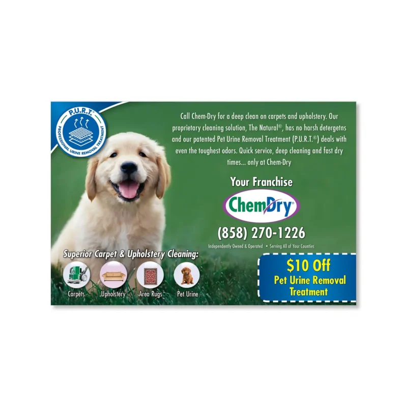 ChemDry – Postcards – Kids and Pets