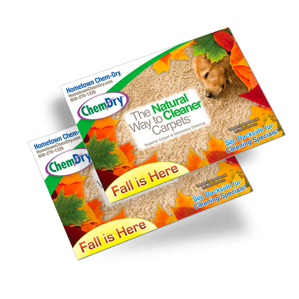 Front side profile view of two custom printed ChemDry branded postcards with orange leaves and golden retriever laying on tan carpet
