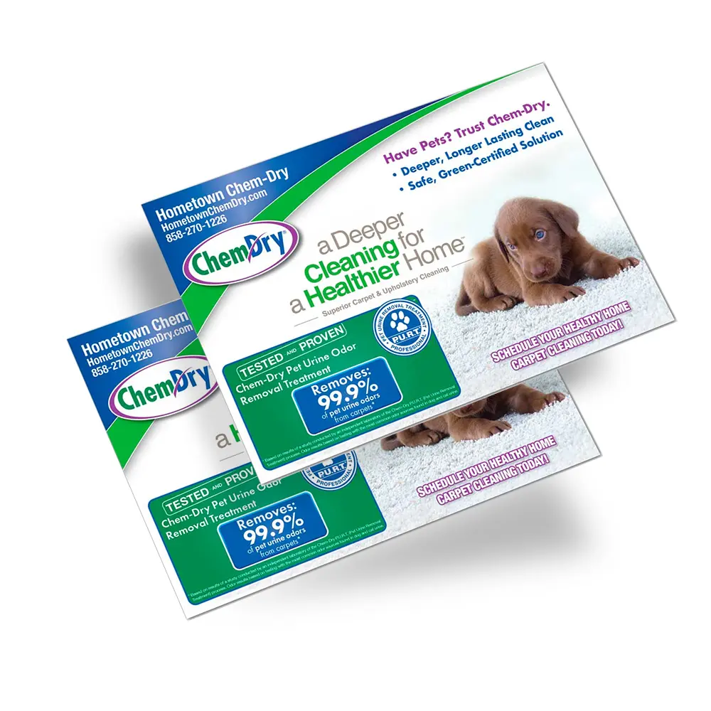 Front side profile view of two custom printed ChemDry branded postcards with brown puppy laying on clean carpet