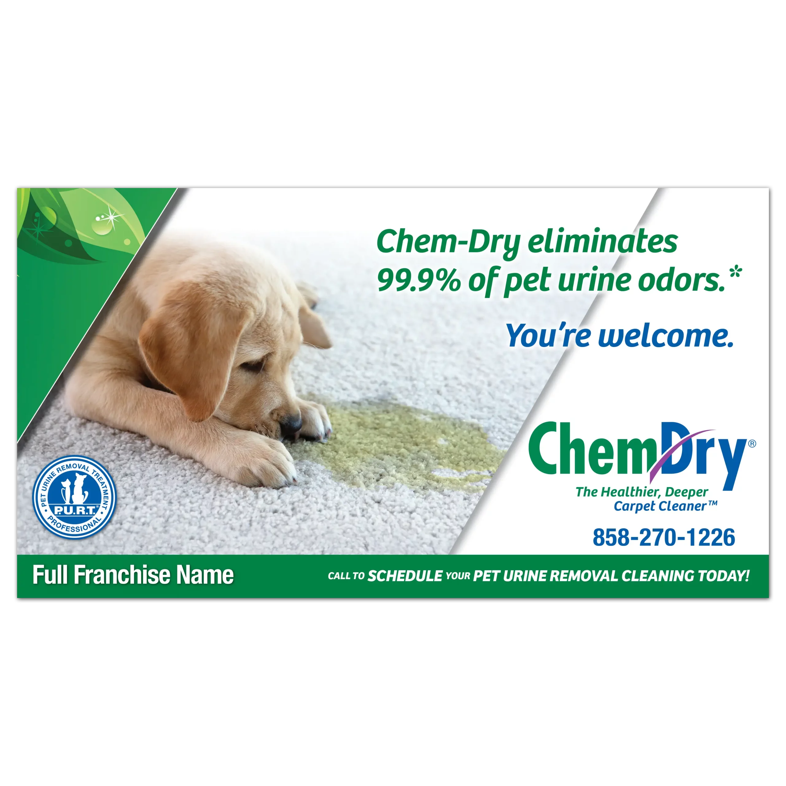Front view of a custom printed ChemDry 2022 postcard with puppy laying in front of urine stain on carpet